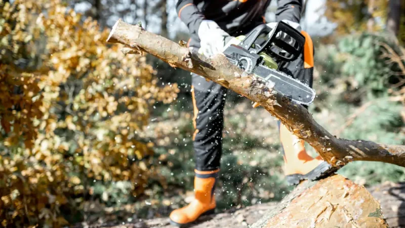 Comment choisir une tronçonneuse adaptée à son terrain